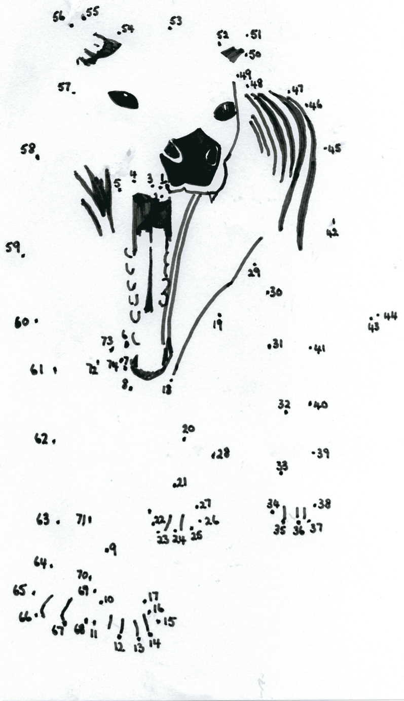Dot to dot tassie tiger